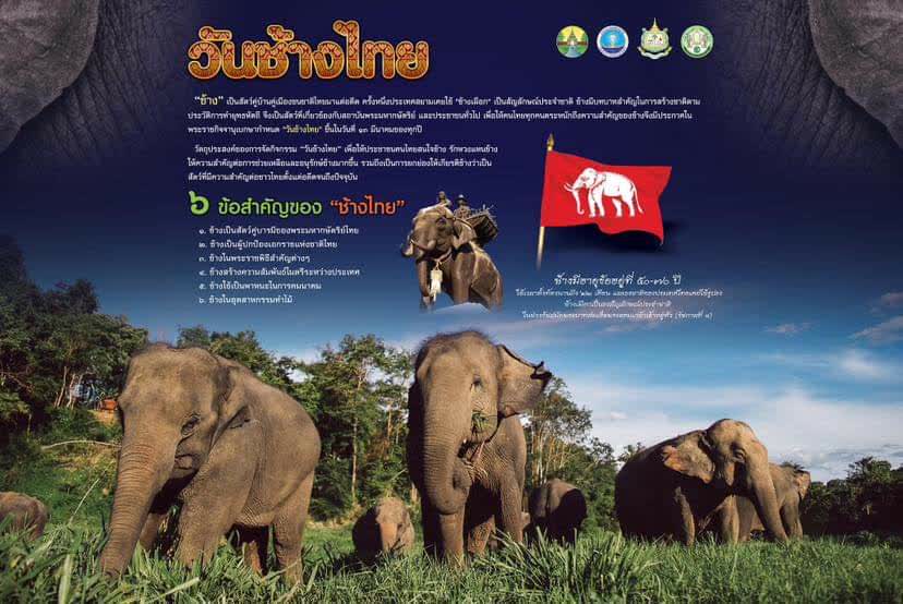 จังหวัดลำปาง จัดงานวันช้างไทย 11 – 13 มีนาคมนี้