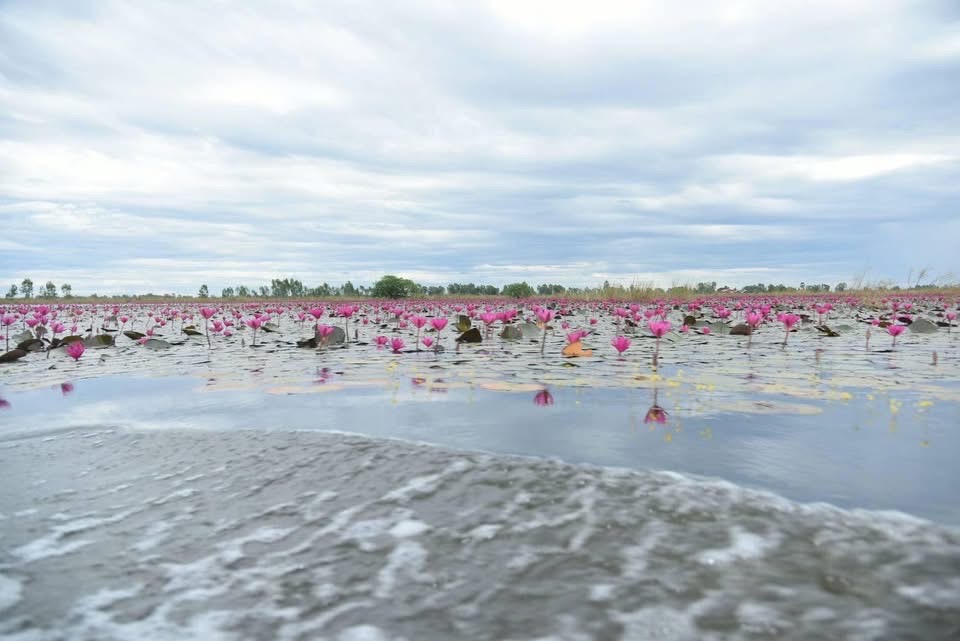 มท.1 ร่วมติดตามการพัฒนาพื้นที่บึงบอระเพ็ด และโครงการพัฒนาพื้นที่สระ…