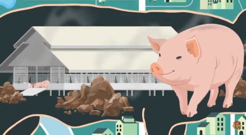 ผู้ตรวจการแผ่นดินแก้ปัญหาฟาร์มสุกร : ลดกลิ่นเหม็น สร้างคุณภาพชีวิตที่ดีขึ้น