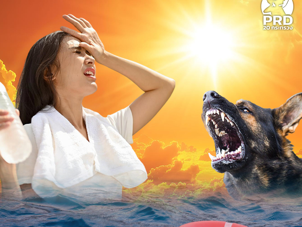 กรมควบคุมโรค เตือนอากาศร้อนจัดระวังฮีทสโตรก จมน้ำ พิษสุนัขบ้า