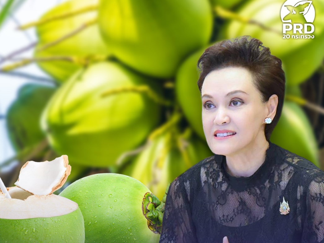 &ldquo;ศุภจี&rdquo; หารือแก้ปัญหาราคามะพร้าวน้ำหอมตกต่ำ คุมเข้มต่างชาติ ปิดวงจรนอมินี 