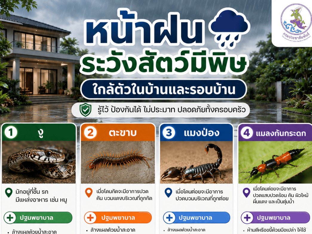 ช่วงหน้าฝน ระวังสัตว์มีพิษใกล้ตัวในบ้านและรอบบ้าน