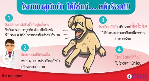 โรคพิษสุนัขบ้าไม่ใช่แค่...หน้าร้อน