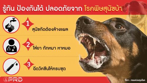 รู้ทัน ป้องกันได้ ปลอดภัยจากโรคพิษสุนัขบ้า