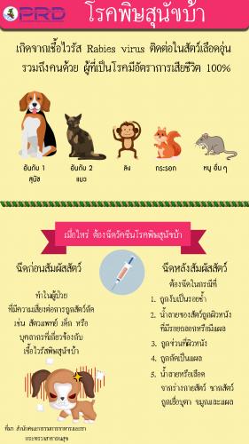 โรคพิษสุนัขบ้า