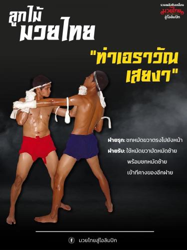 ท่าเอราวัณเสยงา