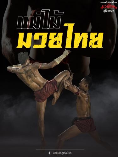 แม่ไม้มวยไทย