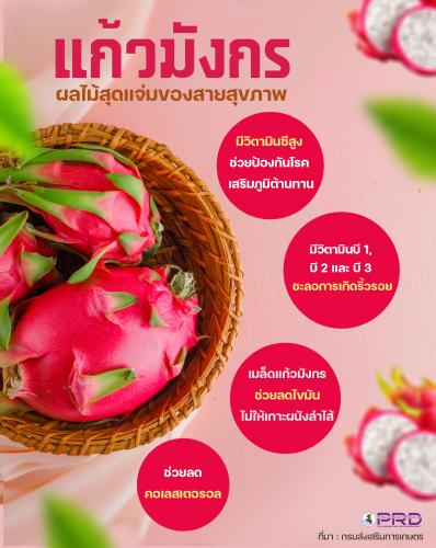 &ldquo;แก้วมังกร&rdquo; ผลไม้สุดอร่อย ประโยชน์เพียบ 