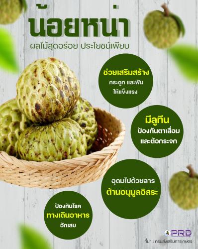 น้อยหน่า ผลไม้สุดอร่อย ประโยชน์เพียบ