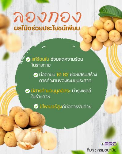  "ลองกอง" กินให้พอดี แล้วจะรู้ว่าดีต่อสุขภาพกว่าที่คิด 