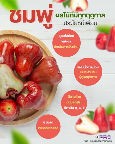 ชมพู่ ผลไม้ที่มีทุกฤดูกาล ประโยชน์เพียบ