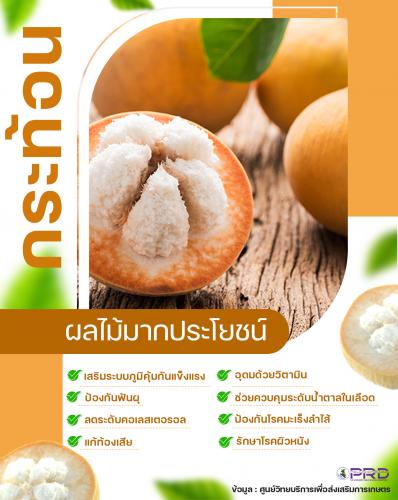 สรรพคุณของกระท้อน อร่อยและดีกับสุขภาพ