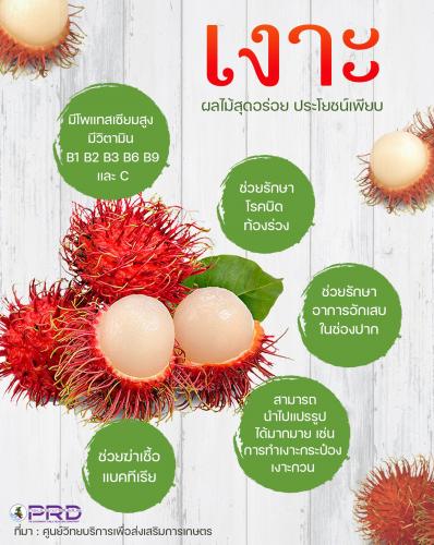 &ldquo;เงาะ&rdquo; ผลไม้สุดอร่อย ประโยชน์เพียบ