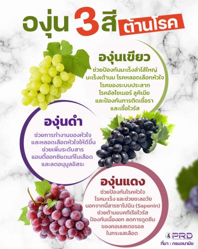 องุ่น 3 สี ต้านโรค