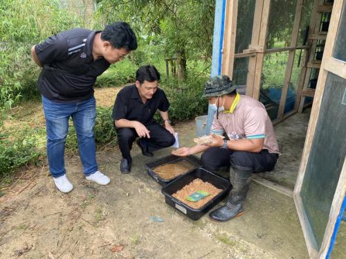 ปศุสัตว์จันทบุรี ส่งเสริมการใช้หนอนแมลงวันลายเลี้ยงไก่ไข่ ลดต้นทุนอาหารสัตว์ แก่ทัณฑสถานเปิดทุ่งเบญจา