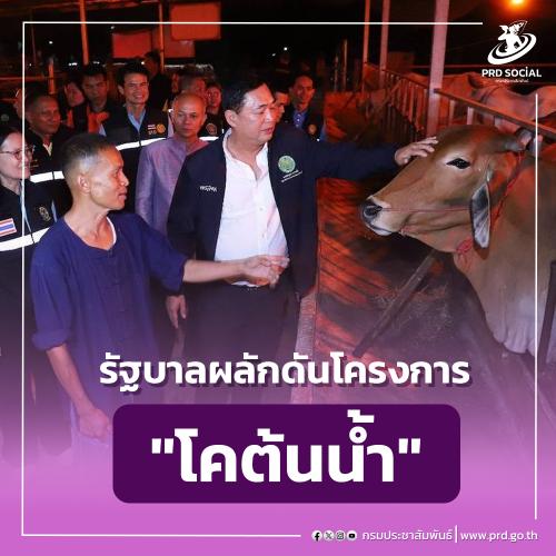 โคต้นน้ำ