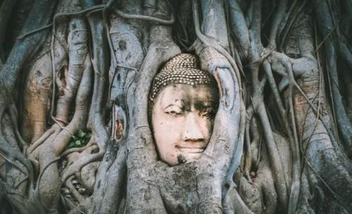 วัดมหาธาตุ