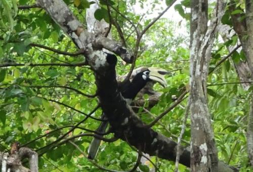 คลองสังเน่ห์