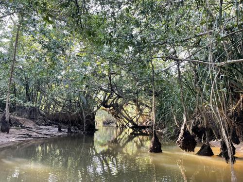 คลองสังเน่ห์